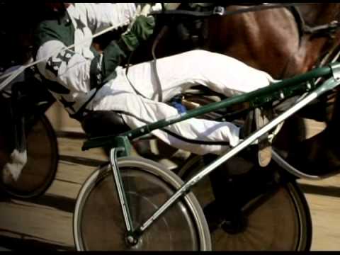 2012 O'Brien Award Nominees - O'Brien Award of Horsemanship