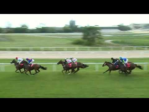 2023.09.02. 6. Futam-CONNOLLY'S RED MILLS- APERIANOV ZAKARIÁS EMLÉKVERSENY - IMPERIÁL DÍJ (HUN Gd-2)