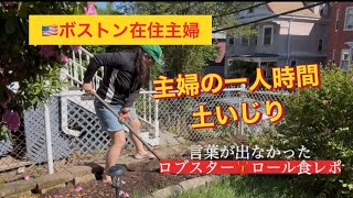 🇺🇸ボストン在住主婦、小さな畑づくりで心の平穏🙂静かな暮らしでアクティブに#アメリカ生活 #家庭菜園初心者 #40代主婦 #海外生活