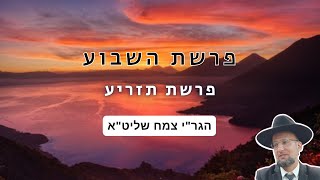 פרשת תזריע | שיעור מרתק בפרשת השבוע מאת הגר"י צמח שליט"א