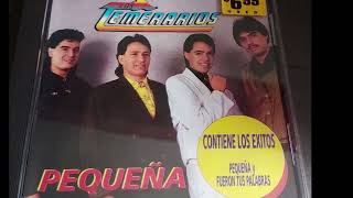 Los Temerarios - Dice adiós tu mano al viento (audio HQ HD)