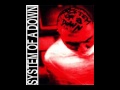 System Of A Down Shame