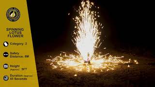 Lotus Flower - Spinning Fountain video