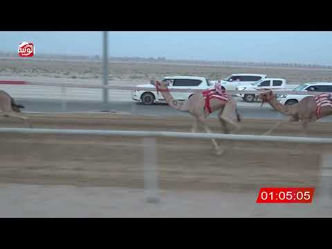 ش 4 (والم) لـ مايد بن علي الكندي 2:59 ، شارة الصندوق 2026/08/24 فطامين سويحان