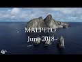 Malpelo on MV Ferox 2018 - Silky sharks - whale sharks & hammerheads