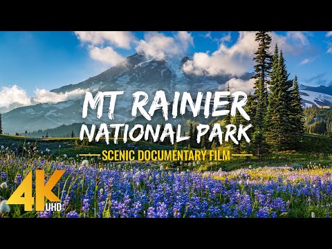 Uniqueness of Mt. Rainier National Park - 4K Documentary Film (with Narration)