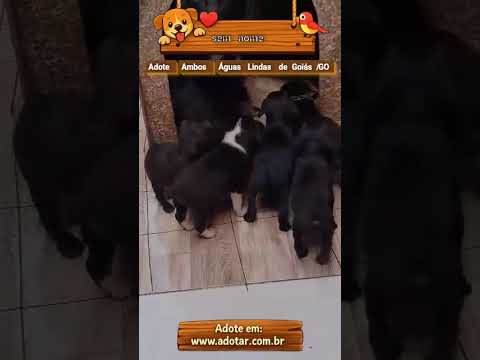 Vídeo de sem nome