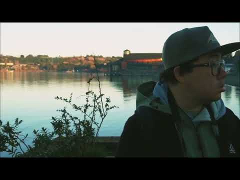 Frutillar Bajo Región de los Lagos 