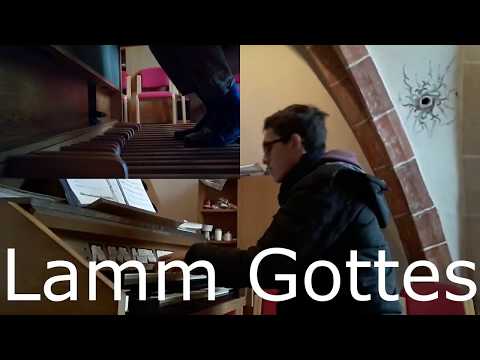 Lamm Gottes |Organist David