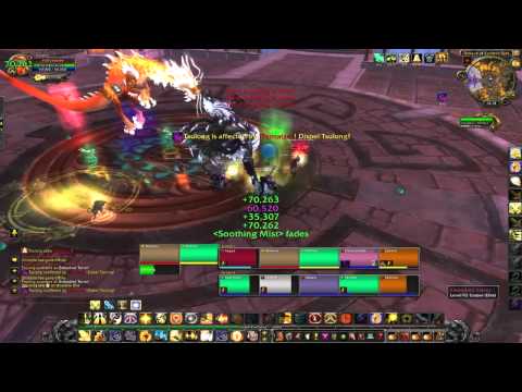 MOP terrance of endless springs-tsulong 10man normal beta guide/kill