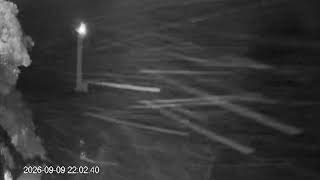 諸磯海岸ライブ live webcam