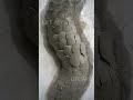 How To Make Dragon Scales Shorts