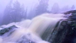 Blackmore&#39;s Night-Ghost Of A Rose