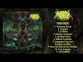 Industrial Noise Paradoxo FULL ALBUM 2021 Grindcore