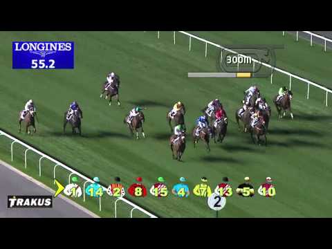 18.01.2014 Meydan (Dubai-UAE) 3.Race Gulf News.com - Handicap 1.200 m