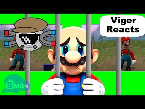 Viger Reacts to SMG4's "Mario Reacts to Illegal Nintendo Memes"