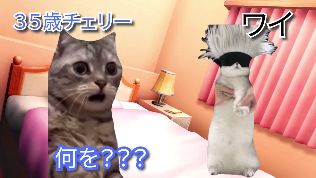 【猫ミーム】嗅がせたらヤバい事になった話 #猫マニ #猫ミーム