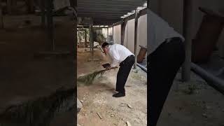 הרב יגאל כהן בחבטת הערבה… מועדים לשמחה! (ארגון ענפים) - התמונה מוצגת ישירות מתוך אתר האינטרנט יוטיוב. זכויות היוצרים בתמונה שייכות ליוצרה. קישור קרדיט למקור התוכן נמצא בתוך דף הסרטון