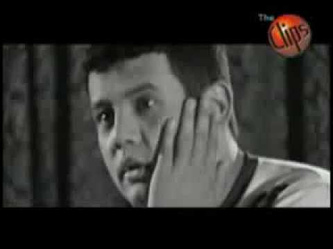 🎵Samandar  oylan sevgi