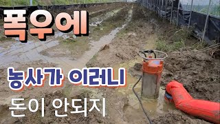 농사 이러니 돈이 안되지