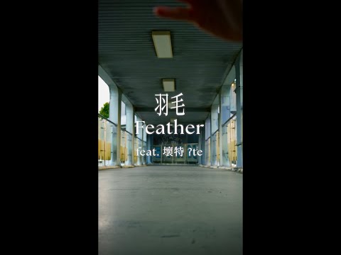 大象體操 ElephantGym _羽毛 Feather feat. 壞特 ?te【Dance Performance Video】
