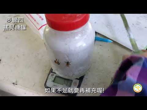 蜂蟹蟎監測調查法-糖粉法