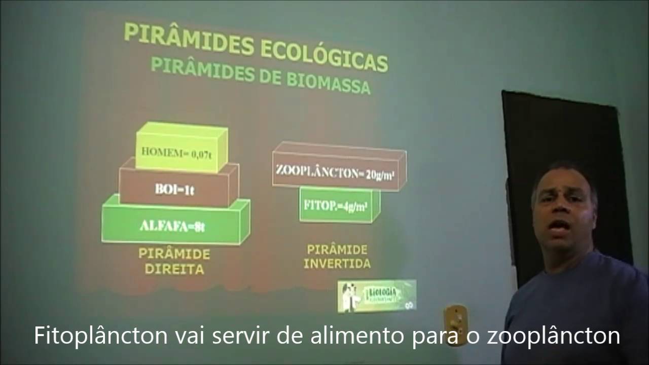 Pirâmides ecológicas