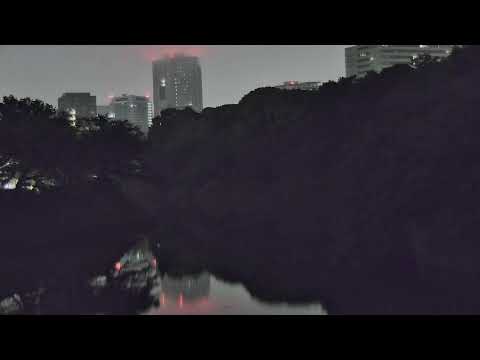 Tokyo Chidorigafuchi live cam