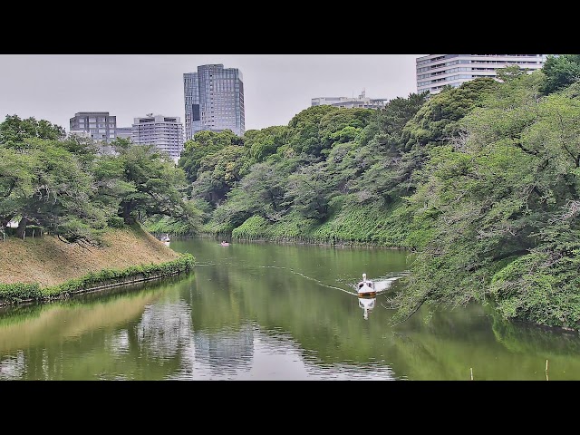 千鳥ヶ淵