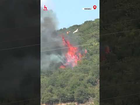 Kürt Nineden PKKlı Kıza Tokat Gibi Yanıt!