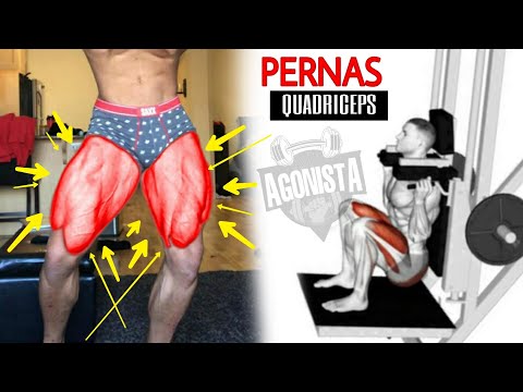 Super Treino de Pernas com foco em Quadriceps + Treino de Panturrilha