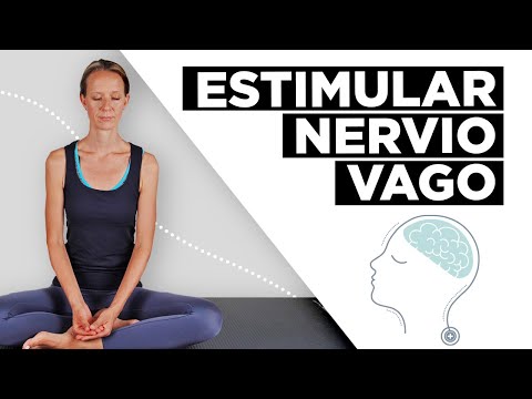 Estimula el Nervio Vago