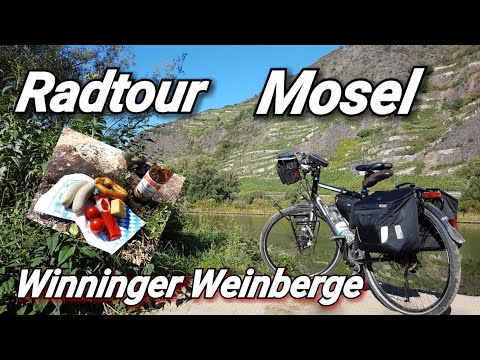 Radtour Moselradweg in die Winninger Weinberge