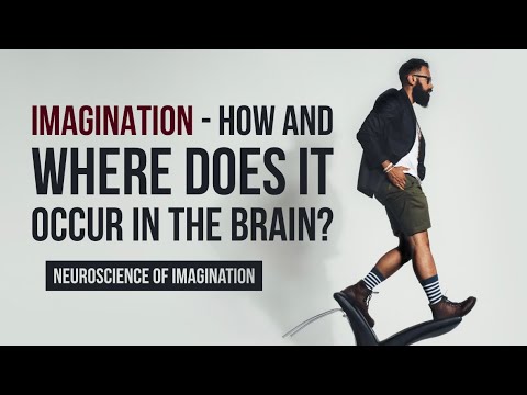 Imagination - how and where does it occur in the brain?
