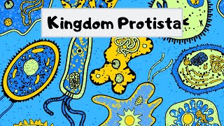 Kingdom of  Protista