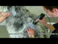 Видео о товаре Saphir Cord Машинка для стрижки собак или кошек / Heiniger (Швейцария)