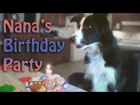 Ilyen egy igazi állati szülinapi party