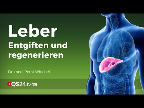 Detoxify the liver and regenerate the liver | Dr.  med.  Petra Wiechel  | NatureMEDICINE | QS24
