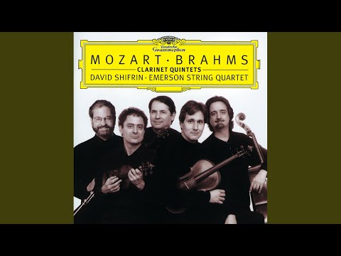 Brahms: Clarinet Quintet in B Minor, Op. 115: I. Allegro