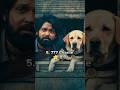 Top 10 High Rated Indian Movies In IMDB Shorts Imdb