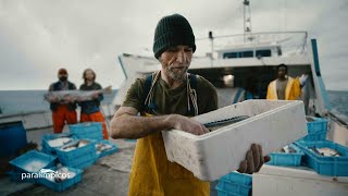 Aldi BACALAO DE PESCA SOSTENIBLE – ASÍ DE FÁCIL, ASÍ DE ALDI. anuncio