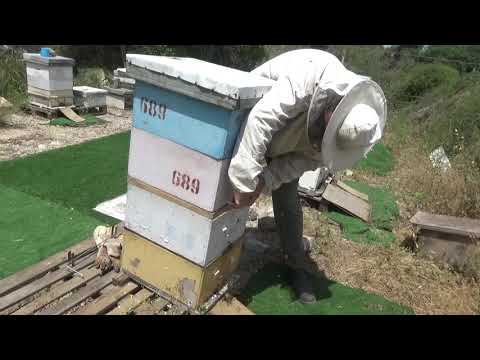 злюки !!! что с ними стало??? по вашим просьбам!!!