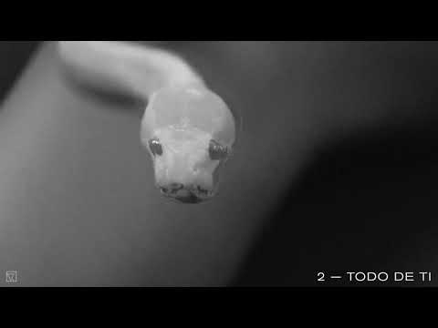 David Löhlein - Todo De Ti