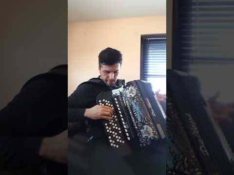 Sviracki Merak-Mirko Kodic