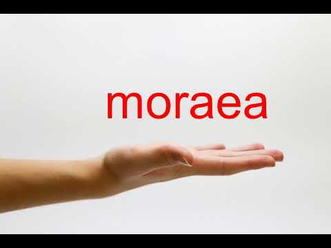How to Pronounce moraea - American English