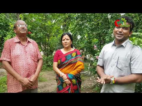 মিশ্র বাগান-পরিত্যাক্ত পতিত জমির সর্বোত্তম ব্যবহার