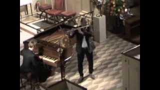 Wissam Boustany (flute): Antonin Dvorak Sonatine Op. 100 (Part 1)