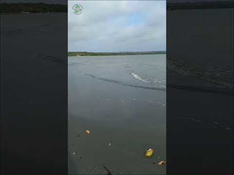 ¡¡¡OH SOBRI 🤠!!! Bahía Rada, en Moñitos, un verdadero paraíso de Córdoba 💚.