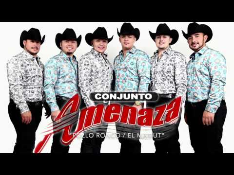 Conjunto Amenaza - El Pollo Ronco / El Mamut (EN VIVO)