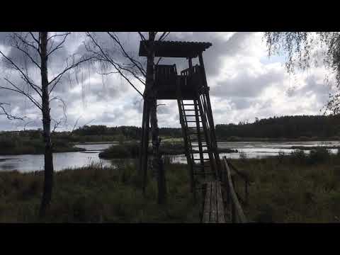 BJÖRKERYD - Björkerydssjön - 190917 - NÄTTRABY - RÖDEBY (Karlskrona) - iPhone SE (BLEKINGE)